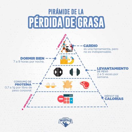 PIRAMIDE perdida de grasa