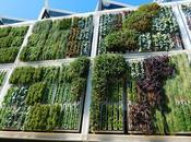 Asociación Solidaria Mundo Nuevo: Compromiso social