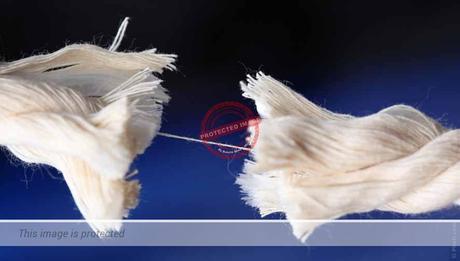 ¿Qué hacer cuando no estás de acuerdo con el director? 0003524477DD-849x565