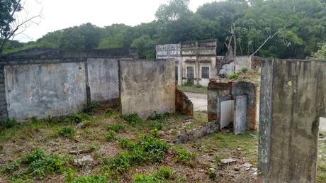 El espectáculo y la tragedia El espectáculo y la tragedia