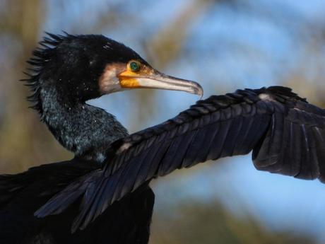 Acantilados de Mutriku, Deba y Zumaia, bellos paisajes en Guipúzcoa