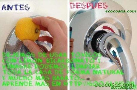 487311_420408511385944_1202299651_n (1)