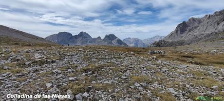 Colladina de las Nieves, Picos de Europa