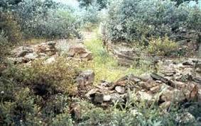 Ruta por los Dolmenes de Huelva Ruta por los Dolmenes de Huelva
