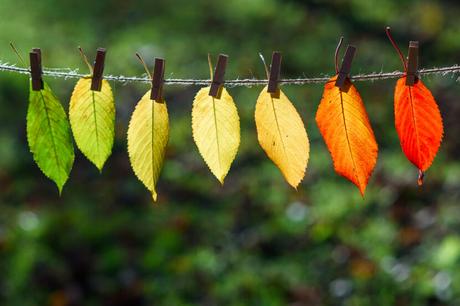 Esperando el cambio Esperando el cambio