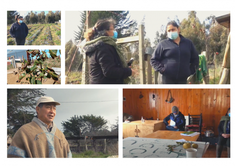 Las Otras Formas de Exterminar la Vida Las Otras Formas de Exterminar la Vida