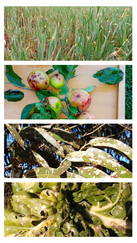 Las Otras Formas de Exterminar la Vida Las Otras Formas de Exterminar la Vida