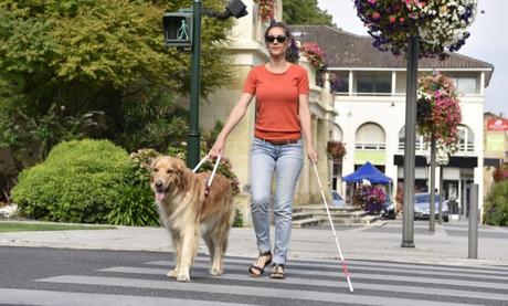 Estas son las ayudas y recursos mas importantes, para personas con discapacidad en 2021