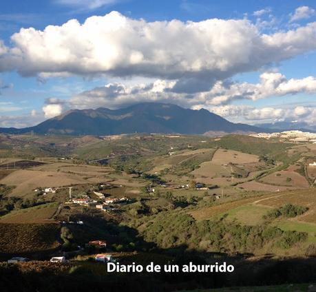 Los murales de Sabinillas y la fiesta de la vendimia en Manilva