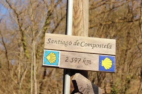 Hacer el Camino de Santiago con niños