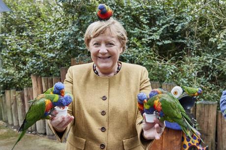 Canciller Angela Merkel visita el Parque de Marlow y rodeada por bandadas de loros