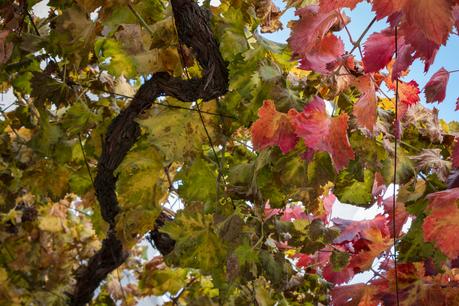 En Ruta por la Alpujarra Granadina: de Lanjarón a Trevelez En Ruta por la Alpujarra Granadina: de Lanjarón a Trevelez