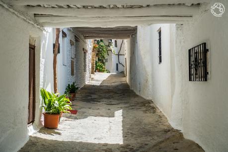 En Ruta por la Alpujarra Granadina: de Lanjarón a Trevelez En Ruta por la Alpujarra Granadina: de Lanjarón a Trevelez