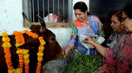 Los Vedas en ninguna parte apoyan el consumo de carne: aquí hay pruebas