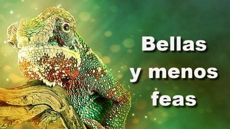 Bellas y menos feas