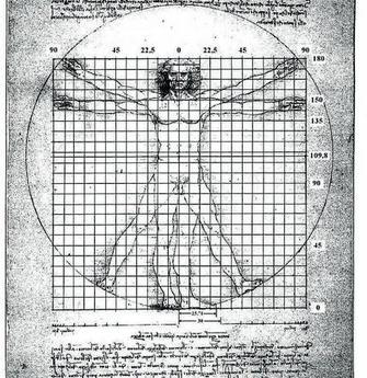 Descripción detallada del Hombre de Vitruvio