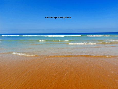 EL REFUGIO, RINCÓN SIN GLUTEN EN ZAHARA DE LOS ATUNES, CÁDIZ