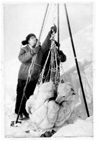 “Mi amor, la osa blanca”, de Vitali Shentalinski