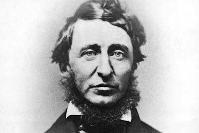 Un rebelde llamado Thoreau