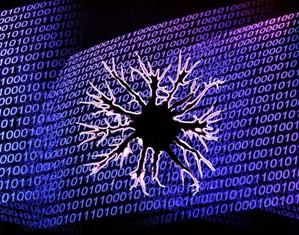 Hacia una nueva generación de ordenadores basados en la arquitectura del cerebro humano Hacia una nueva generación de ordenadores basados en la arquitectura del cerebro humano