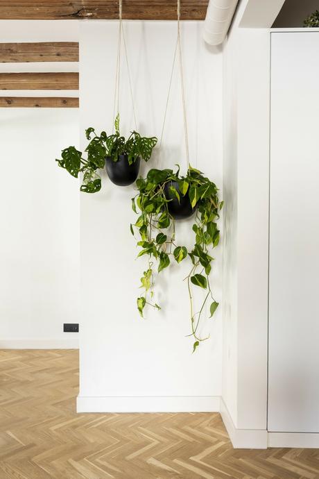 delikatissen scandinavian spain scandinavian barcelona piso en barcelona moderno nordic style barcelona modern apartment minimal barcelona interior desing decoración y diseño de pisos pequeños decoración moderna decoración de interiores decoración contemporánea decor apartment bcn  