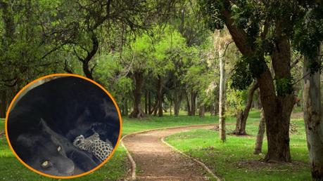 Se mejorarán las condiciones del zoológico del Parque Tangamanga