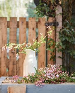 Septiembre: los primeros verdes, las primeras flores