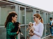 Nace proyecto Adopta Animal para ayudar protectoras asociaciones animales Madrid