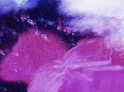 Eduardo briganty entelquia