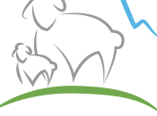 Cordero Serranía Cuenca, garantía calidad para consumidor