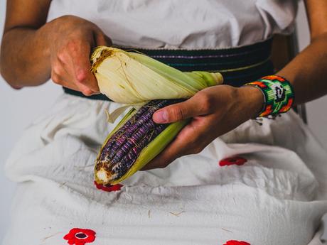 La importancia del Maíz: el oro mexicano