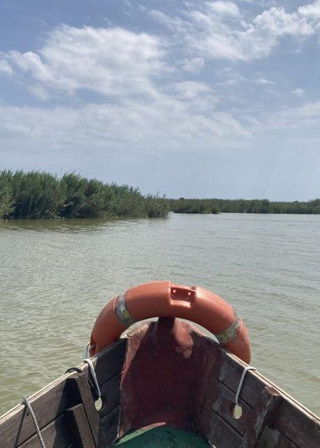 cambio climático. L'Albufera. Valencia