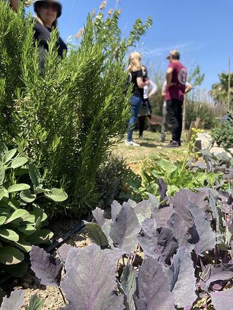 Crisis climática. Cambios profundos. colectivos