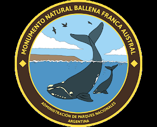 Octubre: ¡Mes de la Ballena franca austral!