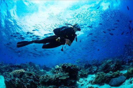 La gestión de estrés en el buceo con el equipo de Gestión Emocional