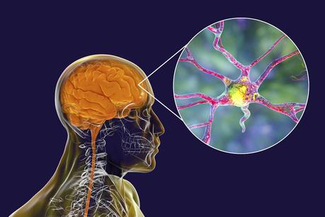 La Inteligencia Artificial ni es magia ni sirve para todo