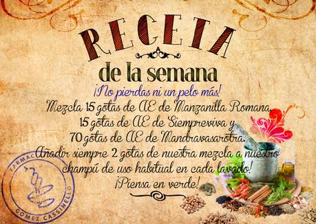 Receta: No pierdas ni un pelo más Receta: No pierdas ni un pelo más!