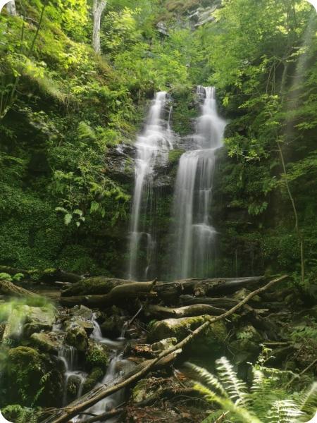 San Millán desde Zarcia