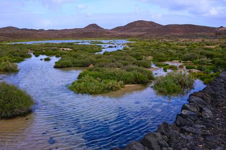 Ruta del Islote de Lobos - Fuerteventura