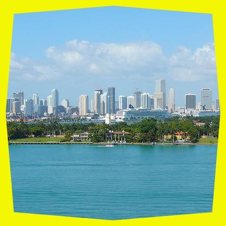Curioseando por Miami Curioseando por Miami