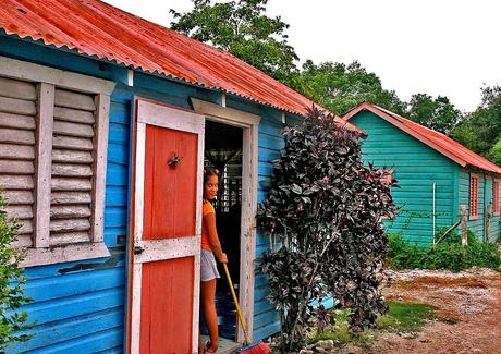 Desde la copa de la mata, de la que los monos se cuelgan y comen plátanos, una observación por si sirve de algo