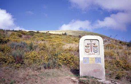 Adiós a Camino de las luciérnagas