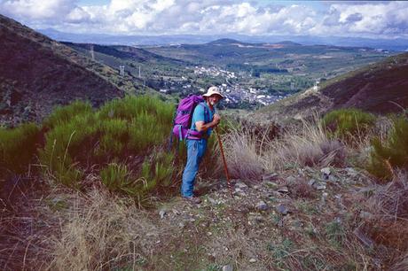 Adiós a Camino de las luciérnagas