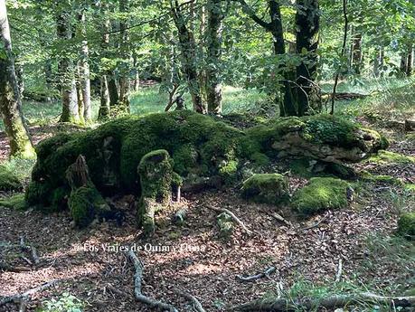 Bosque encantado de Urbasa