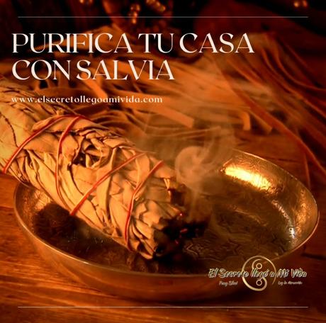 Purifica con Salvia