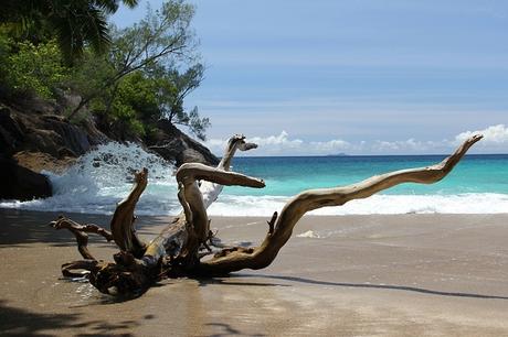 Las mejores playas de las Seychelles