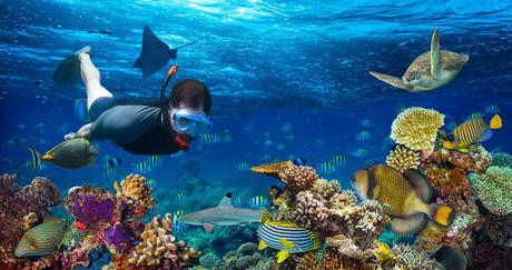 Instituto de Ciencias del Mar y Limnologia