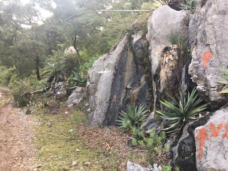 Denuncian cantera clandestina en el corazón de Sierra de Álvarez