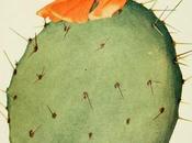 Jacobo Osaac Ochoterena