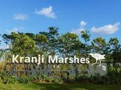 marismas parque kranji singapur